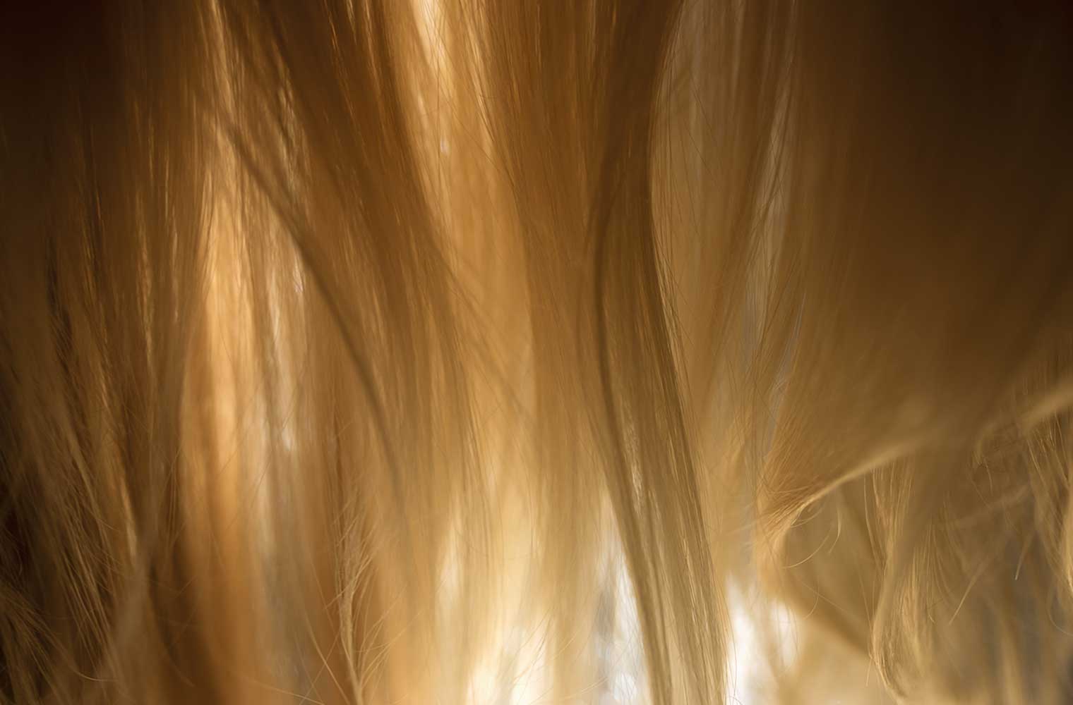 Das Foto zeigt den Ausschnitt von Haaren eines Mädchens von hinten.