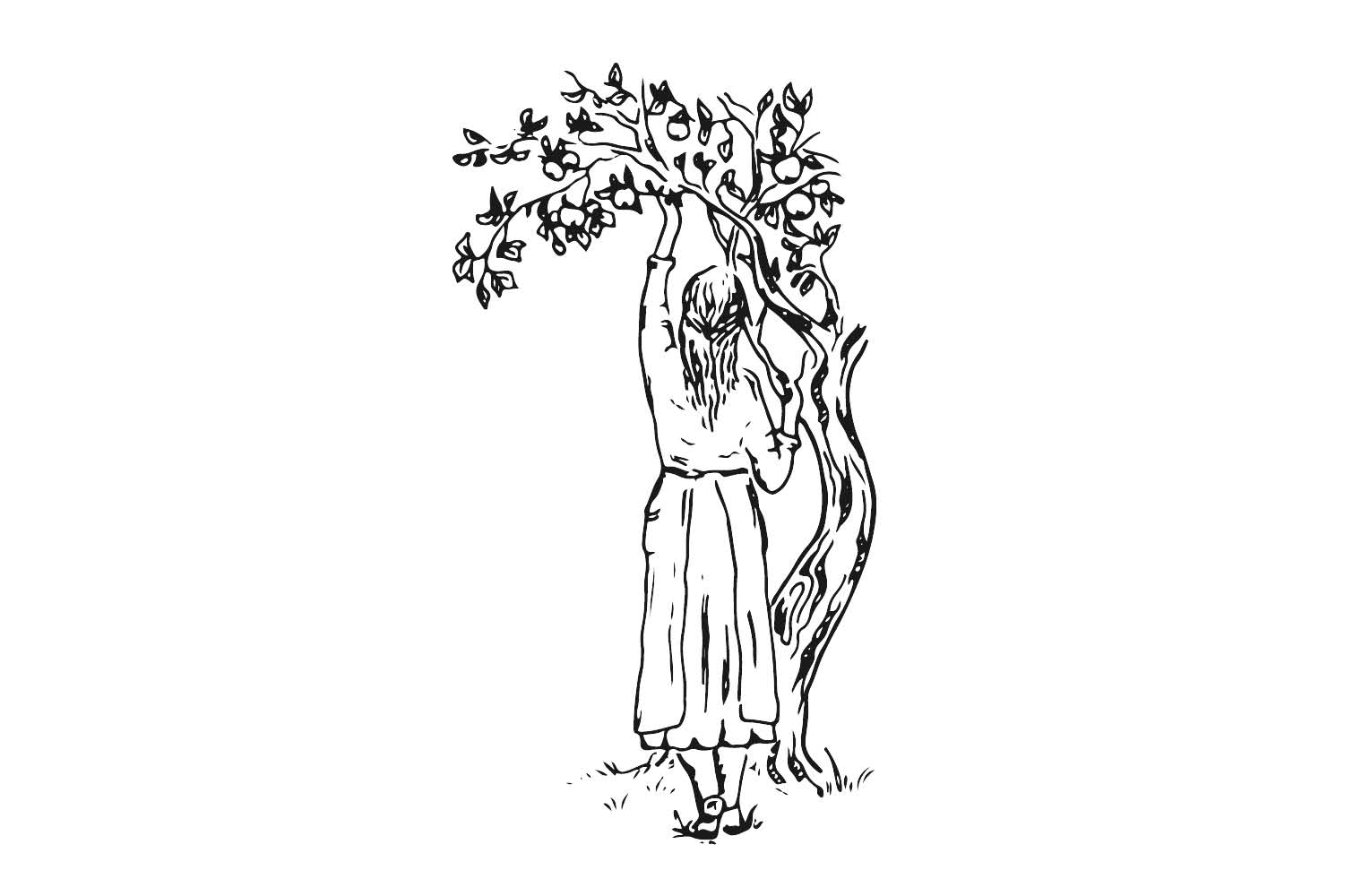 Eine gemaltes Bild, wo eine junge Frau mit dem Rücken zum:zur Betrachter:in in einem mittelalterlichen Kleid einen linken Arm in Richtung eines Astes hebt, um dort einen Apfel zu pflücken. Der Baum befindet sich rechts von der jungen Frau. 