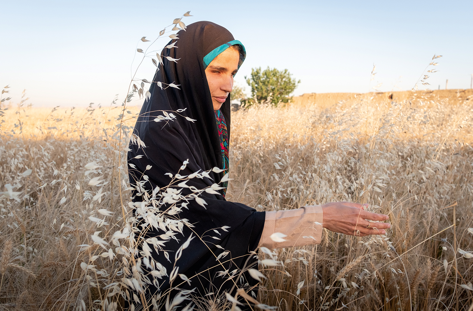 Blinde, iranische Frau in Hijab geht durch ein hohes Haferfeld und streckt die rechte Hand prüfend aus.
