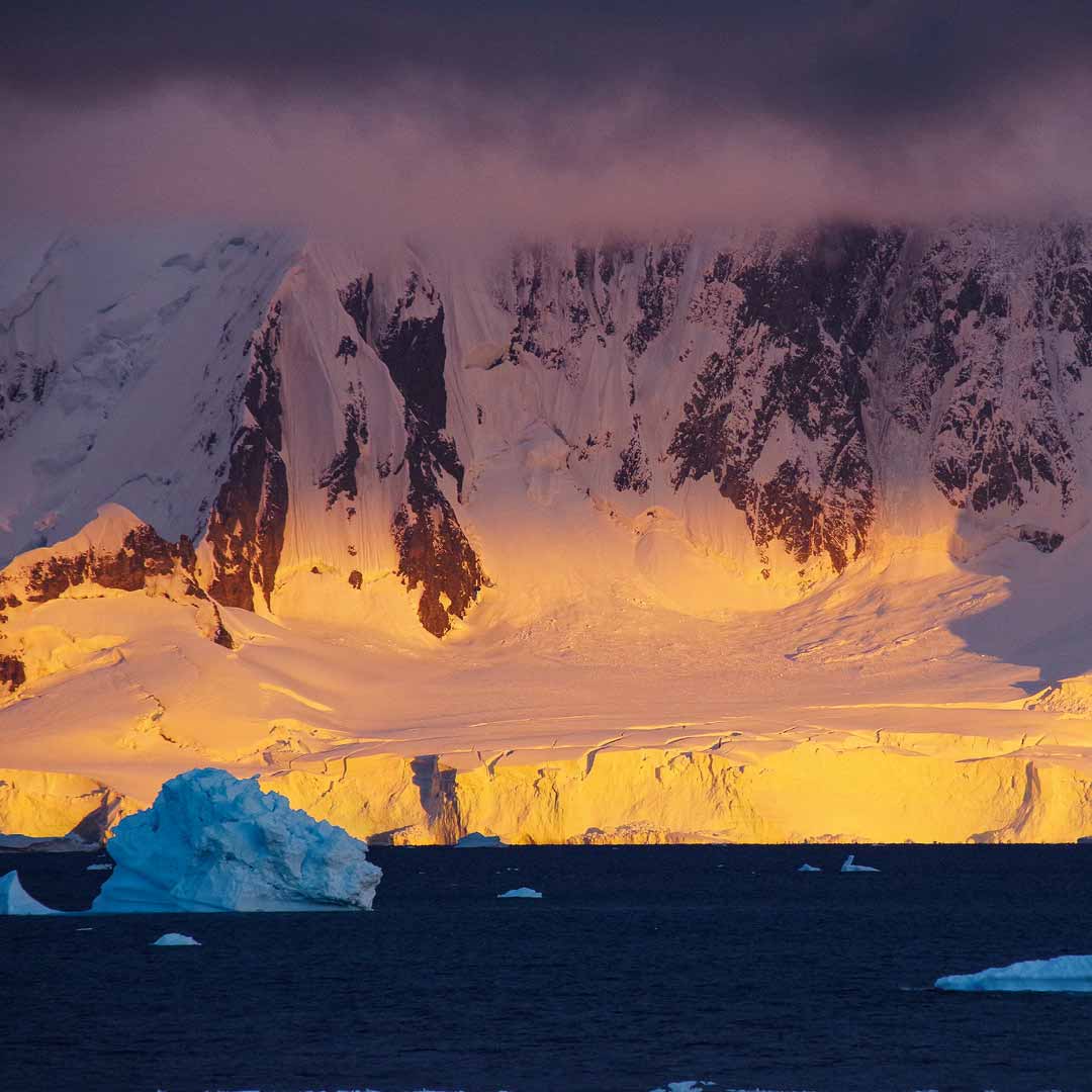 Ein großer Gletscher der Antarktis glänzt golden im Licht der Abendsonne. Dahinter befindet sich ein verschneiter Berg. Davor sieht man dunkelblaue...