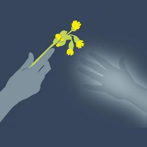 Eine Hand reicht der Hand einer anderen Person eine gelbe Blume.