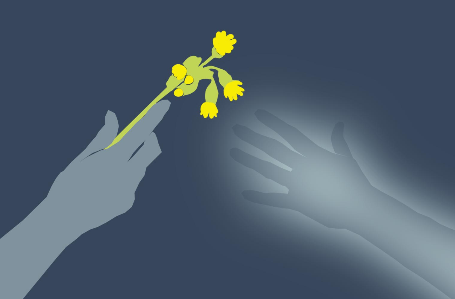 Eine Hand reicht der Hand einer anderen Person eine gelbe Blume.