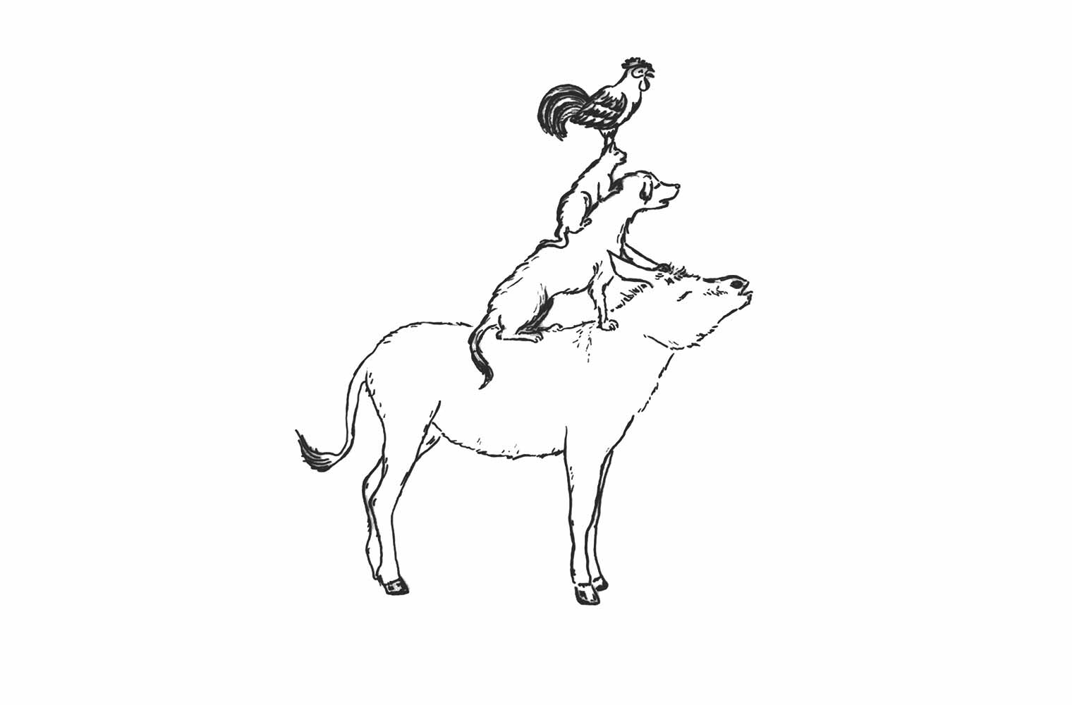Eine schwarz-weiße Illustration. Ein Hahn steht auf einem Kater. Der Kater wiederum auf einem Hund und der Hund auf einem Esel. 