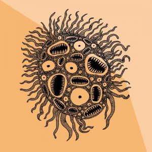 Eine abstrakte, organische Form mit vielen kleinen Augen und zahnartigen Öffnungen ist auf einem orangefarbenen Hintergrund dargestellt. Aus der Form ragen zahlreiche Tentakel oder Fühler in alle Richtungen. Die detailreiche schwarz-orange Zeichnung erinnert an ein Fantasiewesen oder eine mikroskopische Kreatur.