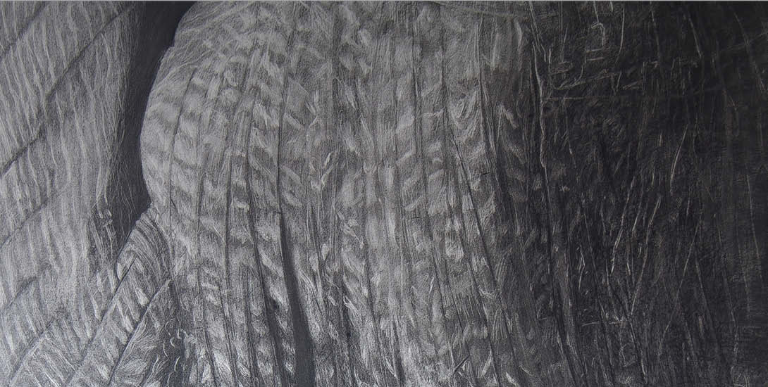 Schwarz-weiße Nahaufnahme einer strukturierten Oberfläche mit stark ausgeprägten Linien und Falten. Die Oberfläche wirkt weich und unregelmäßig gef...