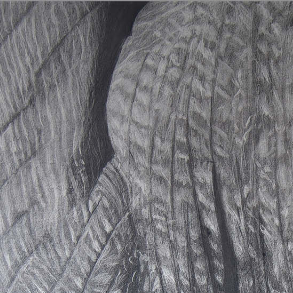 Schwarz-weiße Nahaufnahme einer strukturierten Oberfläche mit stark ausgeprägten Linien und Falten. Die Oberfläche wirkt weich und unregelmäßig gef...