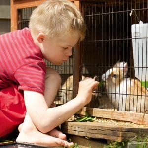 Sohn Willi füttert ein Kaninchen - Foto: Birte Müller